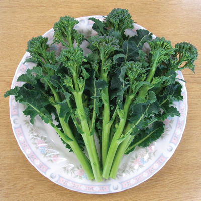 Brocoli Apollo (mini)  /Brocolini