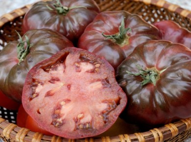 Tomate noire de Crimée