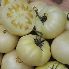 Tomate Blanche du Québec