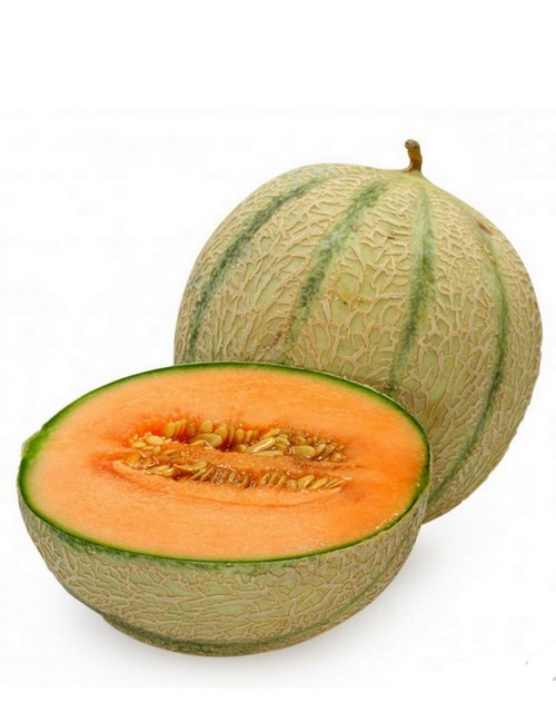 cantaloup 