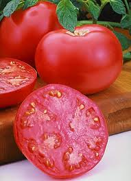 Tomate Summerpink VF