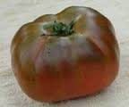 Tomate Arbuznyi